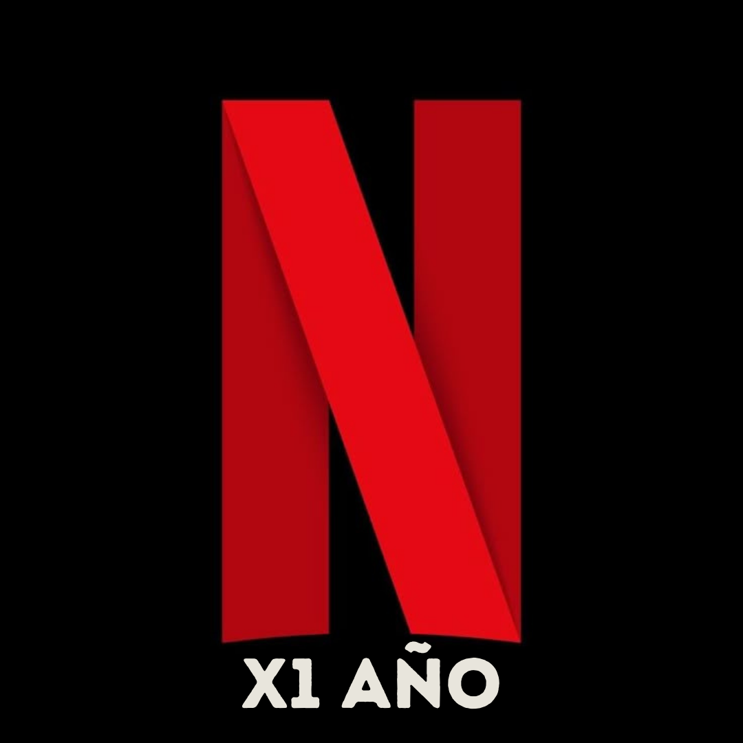 Netflix x12 meses